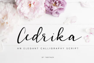 Cedrika: A Designer’s Honest Take on Modern Script