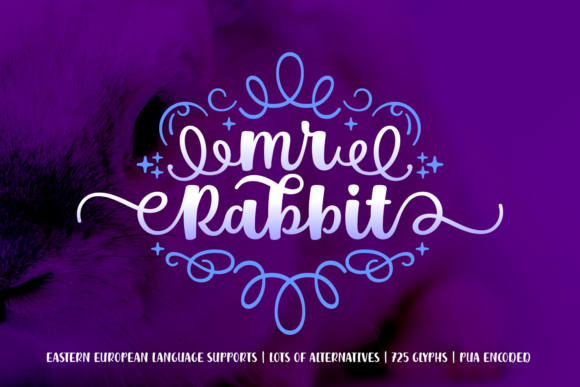Mr. Rabbit: A Bold Script Font for Modern Web Design