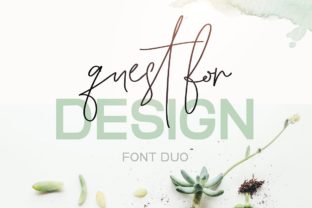 Quest for Design Family Font Review