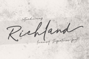 Richland Typeface: A Web Designer’s Review