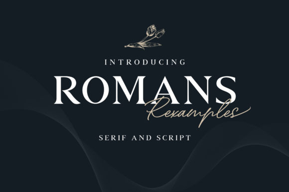 Romans Rexamples Duo: A Web Designer’s Typography Pick
