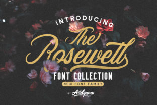 Rosewell Family: A Versatile Typeface for Web Design